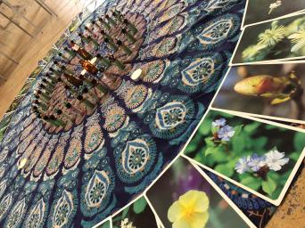 WhatsApp Image 2019-09-15 at 12.47.56